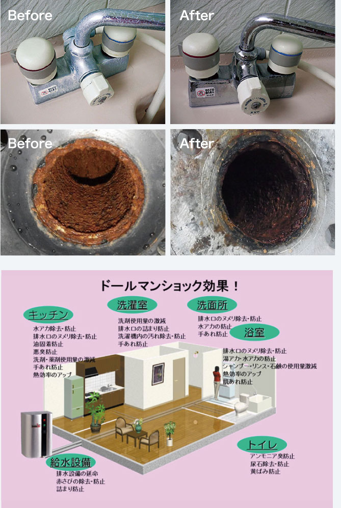 ドールマンショック効果
